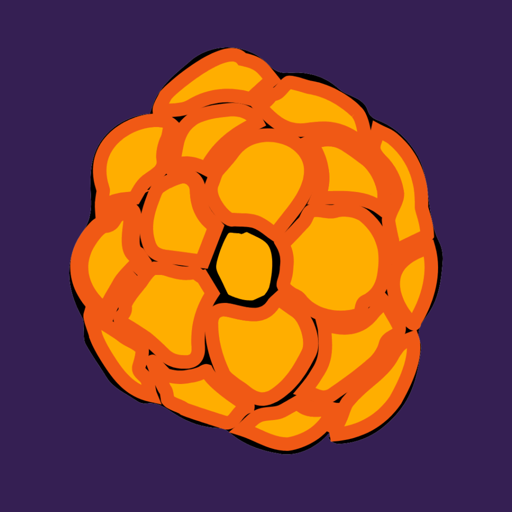 marigold