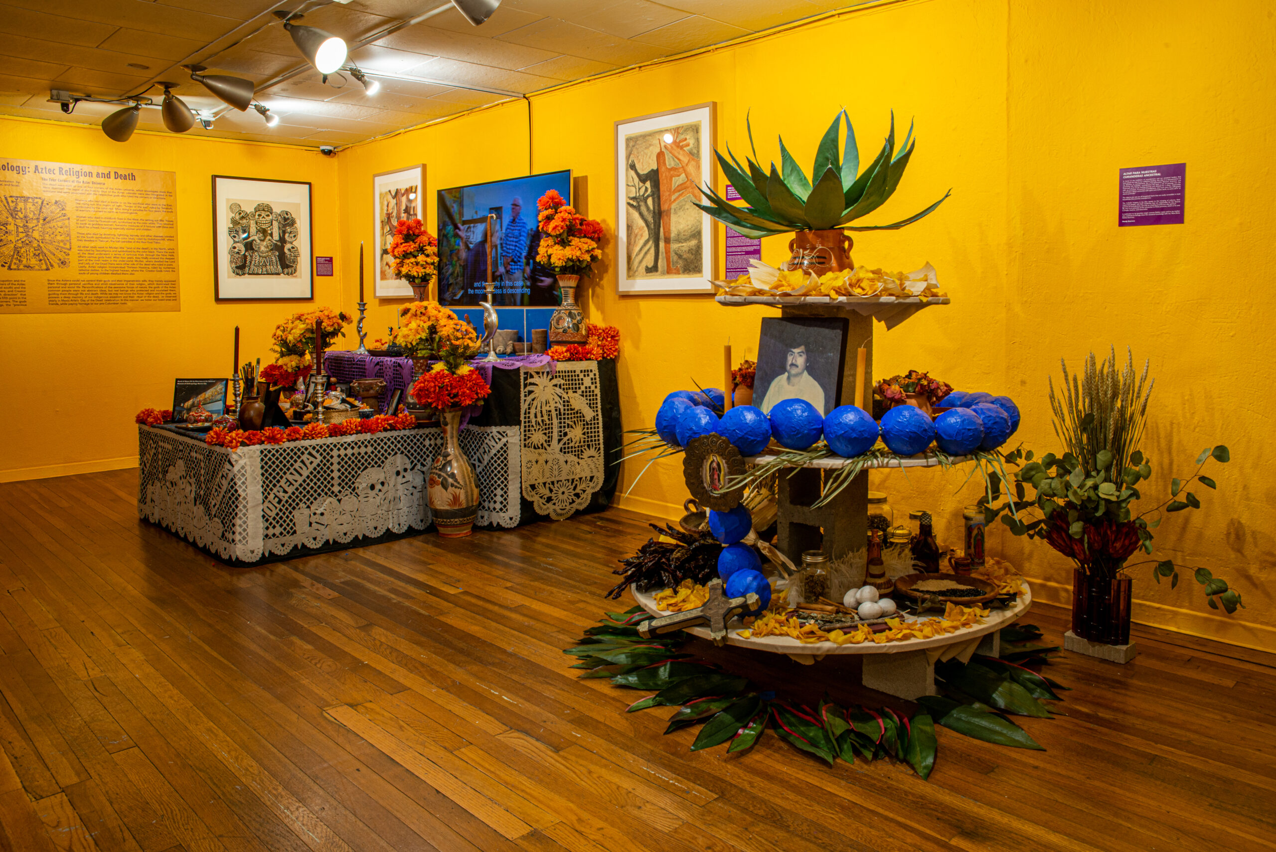 The 37th Annual Day Of The Dead Exhibition - Mexic-Arte Museum