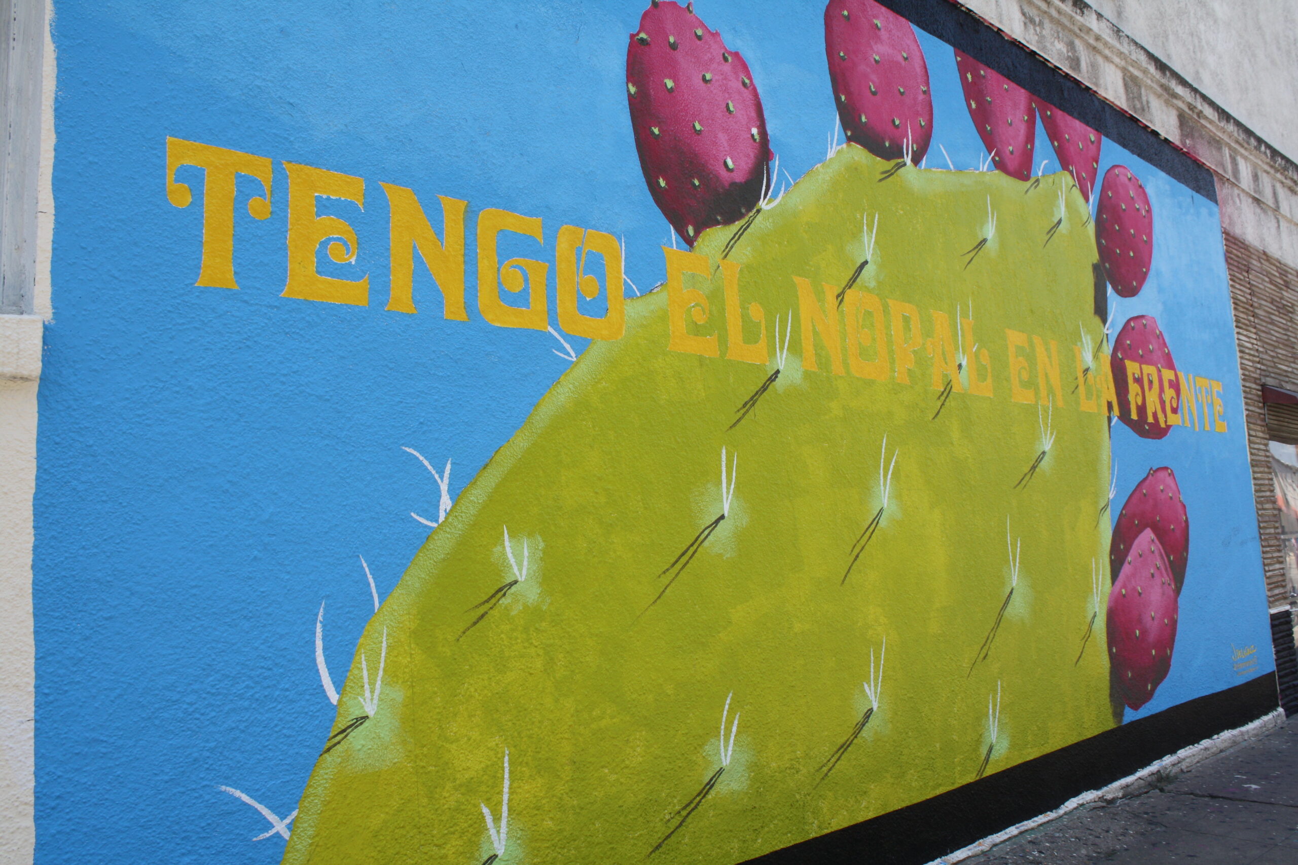 tengo-un-nopal-en-la-frente-mexic-arte-museum